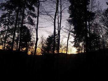 Silhouette trees in forest against sky