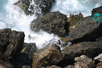 Scenic view of waterfall