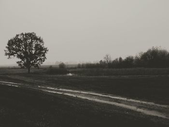 Road by trees against clear sky