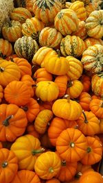 Full frame shot of pumpkins in market