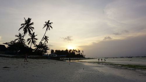 Scenic view of beach against sky during sunset