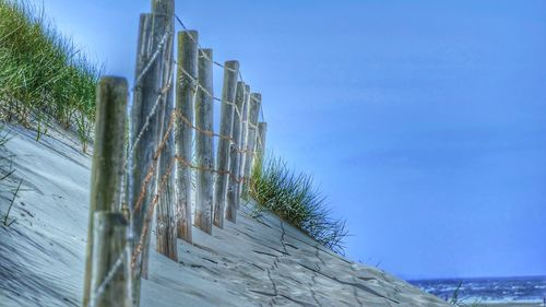 Low angle view of plants against clear blue sky