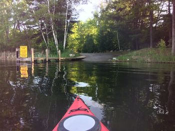 Low section of person in lake against trees in forest