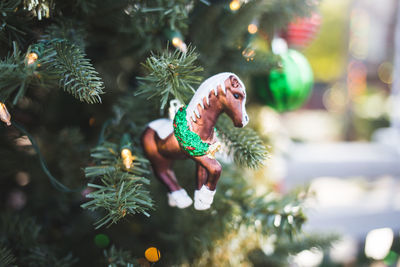 Close-up of christmas ornaments on tree