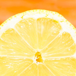 Close-up of lemon slice