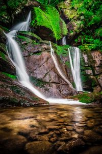 View of waterfall in forest