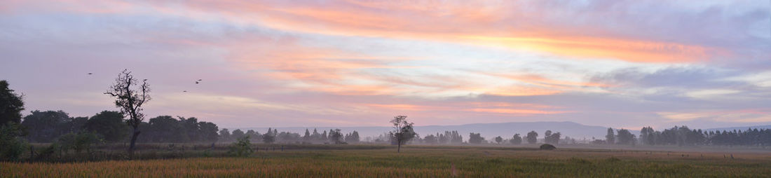 Scenic view of field against sky during sunset