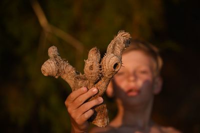 Boy holding dried plant