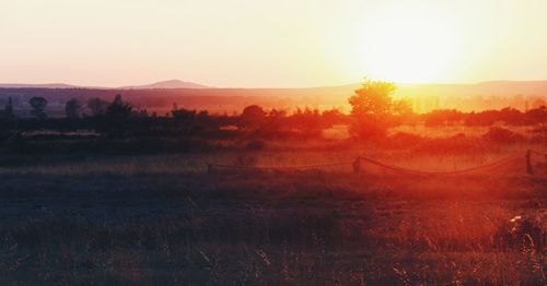 Scenic view of field against sky during sunset