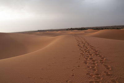 Scenic view of desert