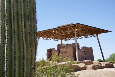 Low angle view of cactus against clear blue sky