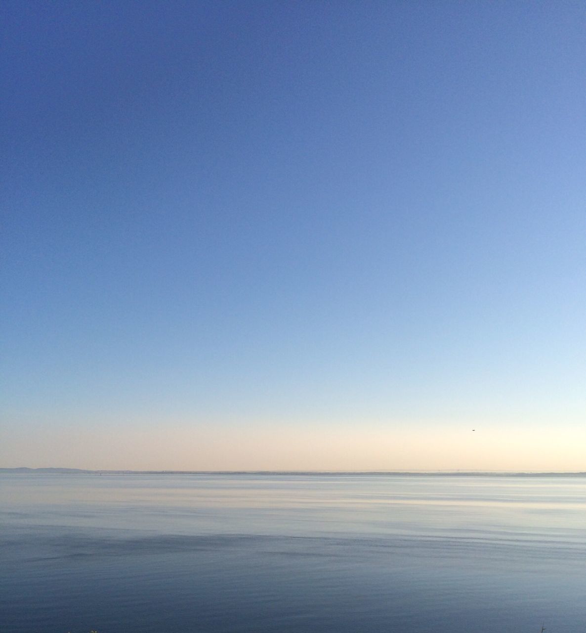 copy space, clear sky, tranquil scene, tranquility, beach, sea, scenics, horizon over water, sand, beauty in nature, nature, blue, shore, water, idyllic, remote, sky, outdoors, non-urban scene, no people