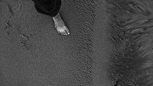 Low section of person on horse on sand