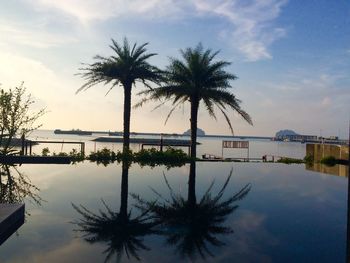 Palm trees by swimming pool against sky