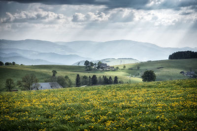 Scenic view of field against cloudy sky