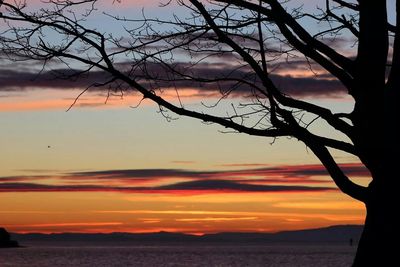 Scenic view of sunset over sea