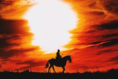Silhouette man riding horse against sky during sunset