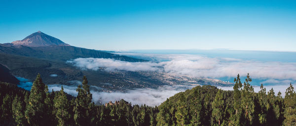 Panoramic view of trees and mountains against clear sky