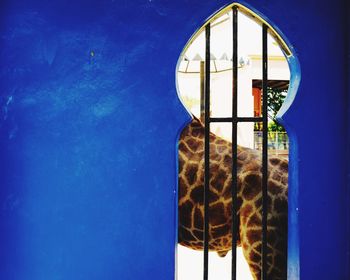 Close-up of swimming pool by window against blue sky