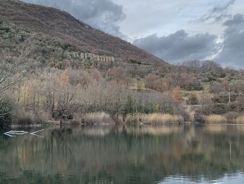 Scenic view of lake by trees against sky