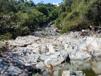 Stream flowing through forest