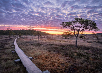 Scenic view of field against sky during sunset