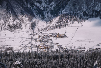 High angle view of trees on snowcapped mountains