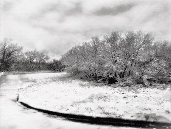 Bare tree on snow covered field against sky