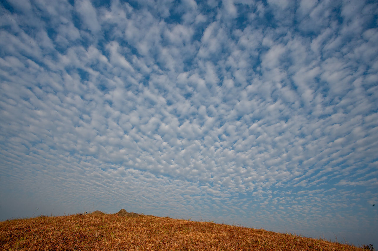 LOW ANGLE VIEW OF SKY ON LAND