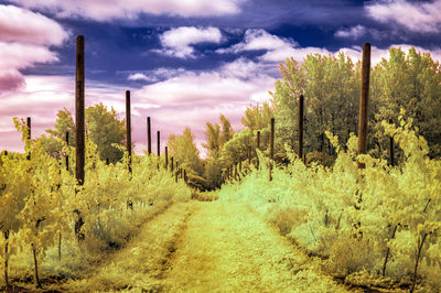 Empty road against cloudy sky