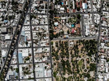 High angle view of trees and buildings in city