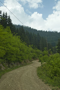 Road amidst trees in forest against sky