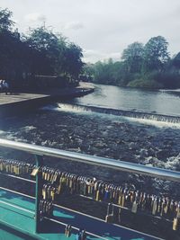 Reflection of trees in water