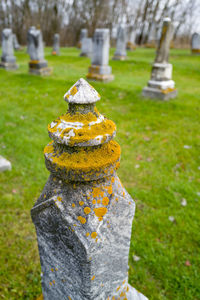 Close-up of moss growing on cemetery grave monument