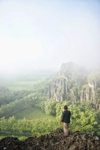 Rear view of man looking at mountain landscape