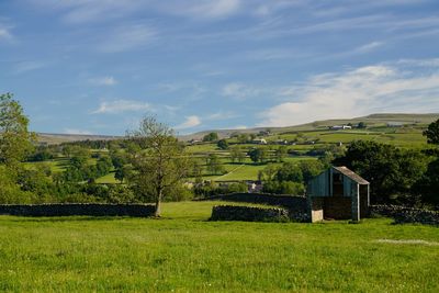 Scenic view of field against sky