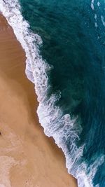 Scenic view of beach