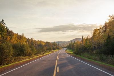 Road amidst trees against sky