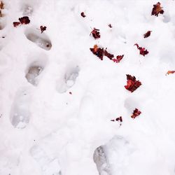 High angle view of snow