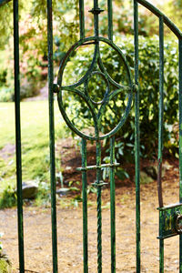 Close-up of metal hanging on tree