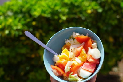 Close-up of fruit salad in bowl