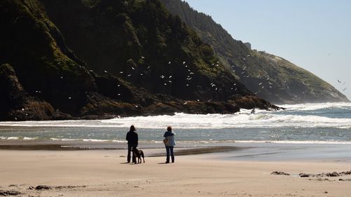 People with dog standing at beach by mountains against sky