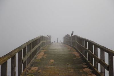 Pier in sassnitz 