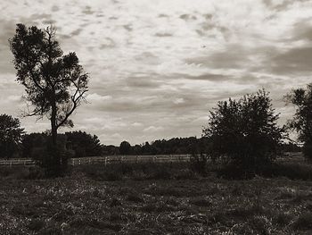 Scenic view of field against cloudy sky