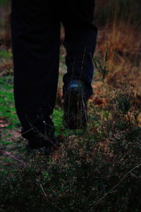 Low section of person standing on field