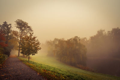 Trees on field against sky during foggy weather