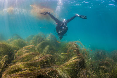 Woman swimming in sea