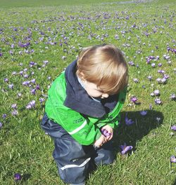 High angle view of child holding flower on grassy field during sunny day