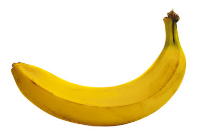 Close-up of fruit against white background