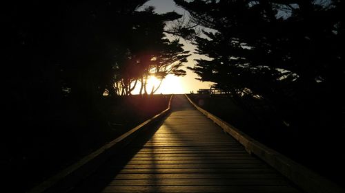 Silhouette of trees at sunset